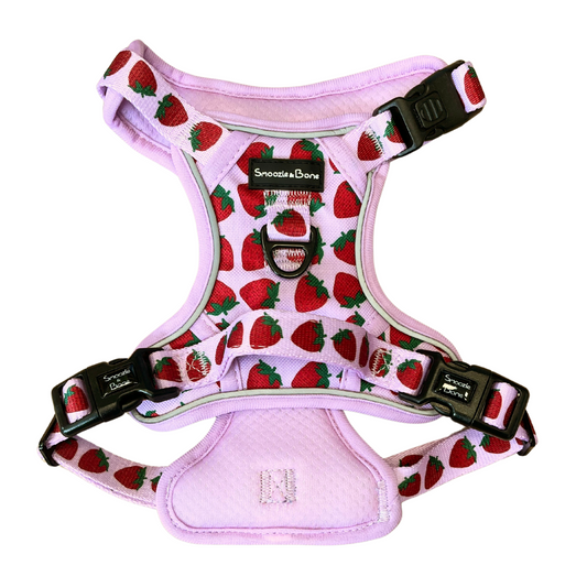 Strawberry Kisses Ruff Explorer Harness