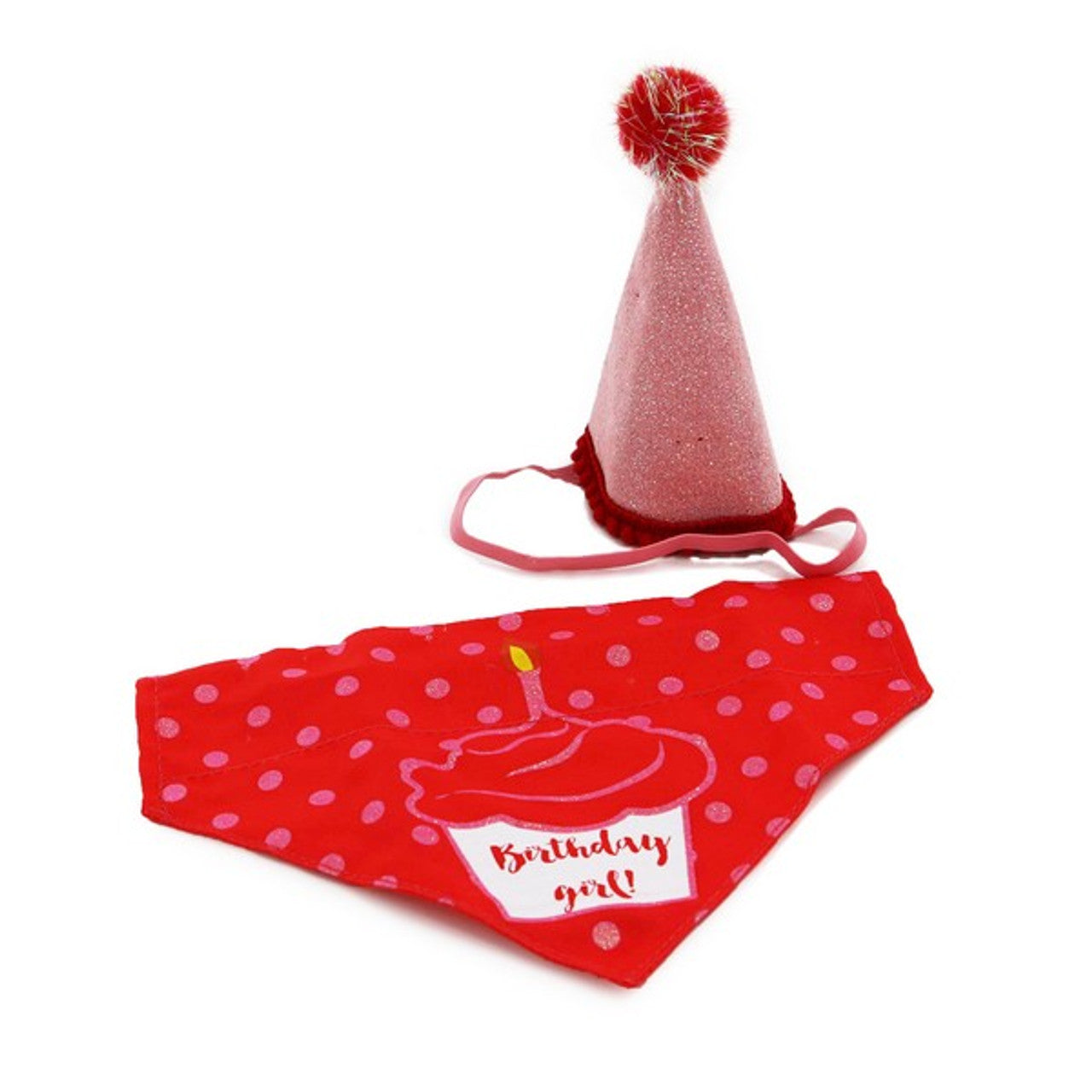 Pawty hat and Bandana