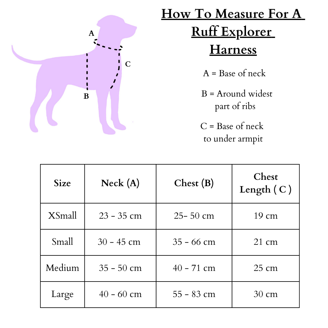 Ruff Explorer Harness