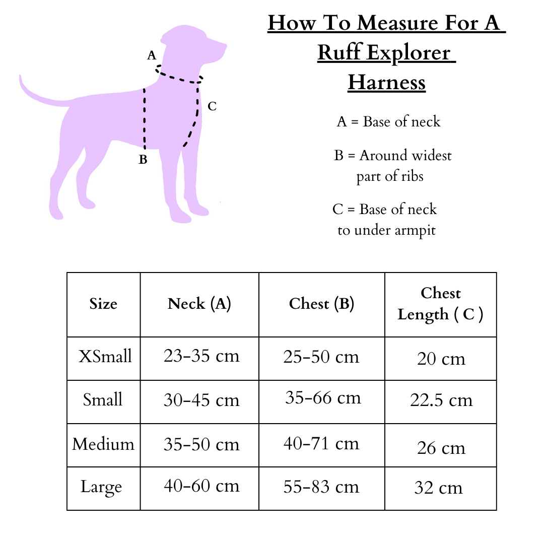 Devon Dreams Ruff Explorer Harness