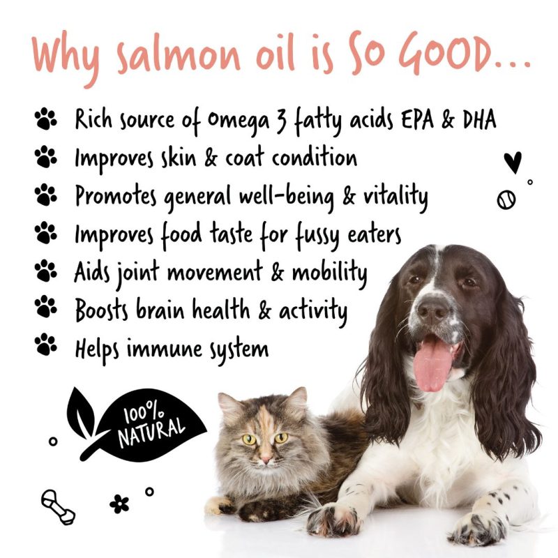 Salmon Oil