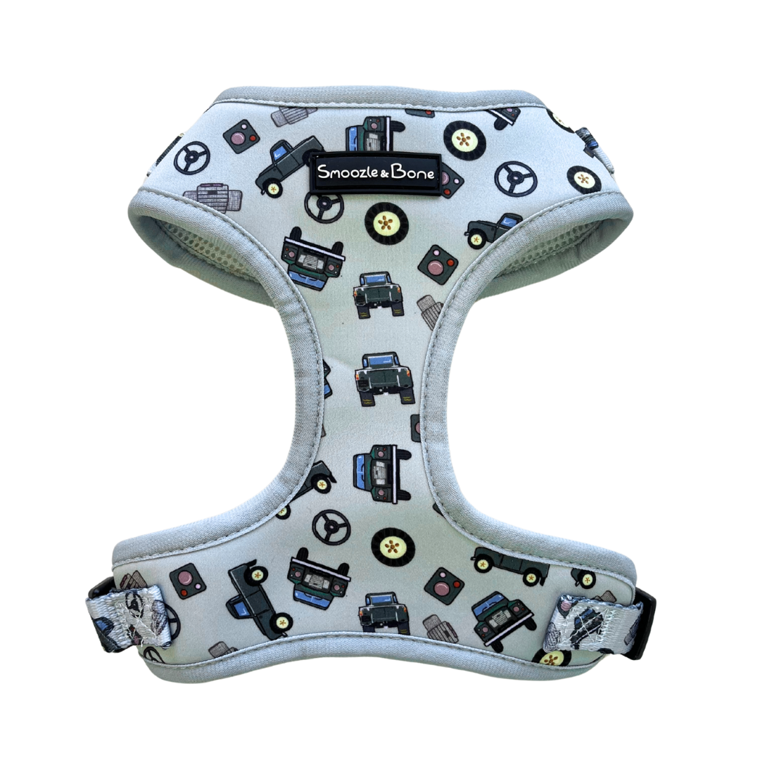 Devon Dreams Adjustable Harness