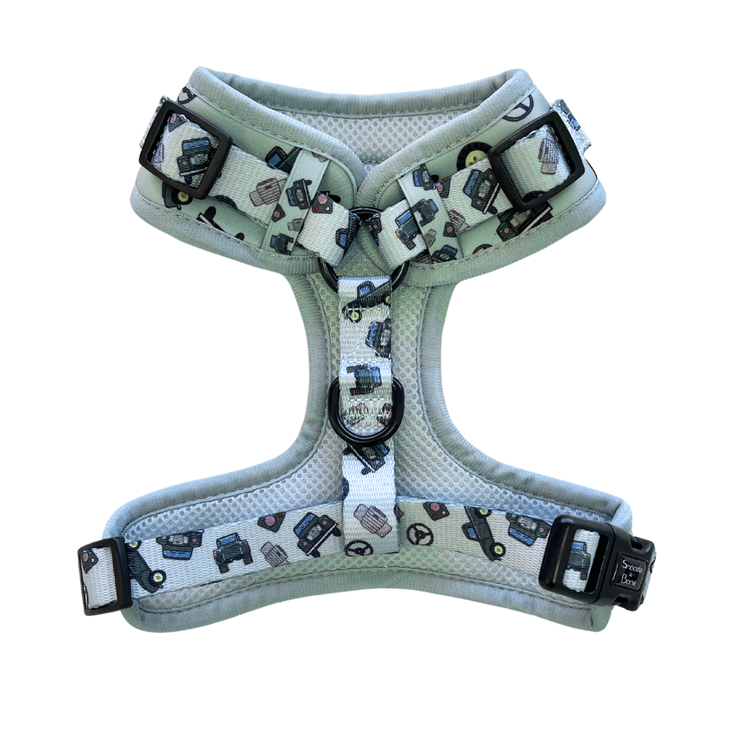 Devon Dreams Adjustable Harness