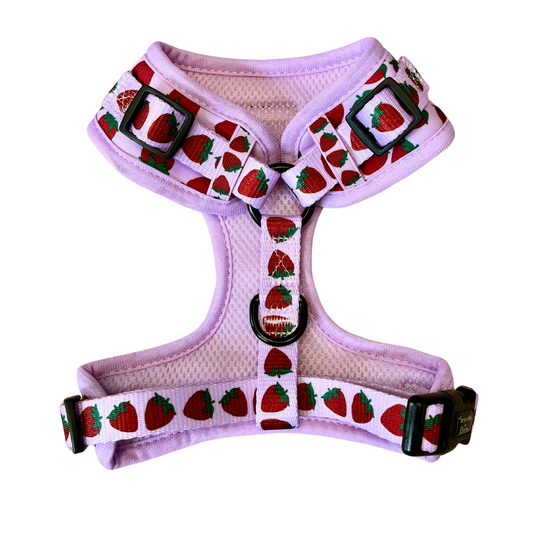 Strawberry Kisses Adjustable Harness