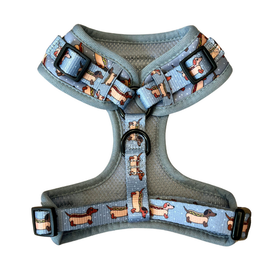 Hawt Dog Adjustable Harness