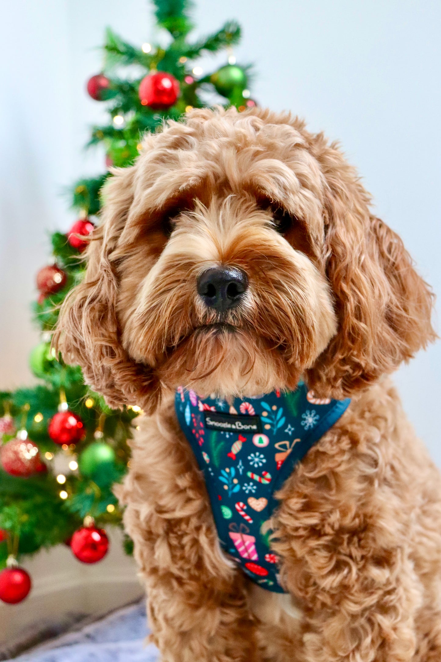 Christmas Wishes Adjustable Harness