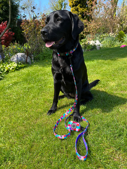 Patchwork Pooch Lead