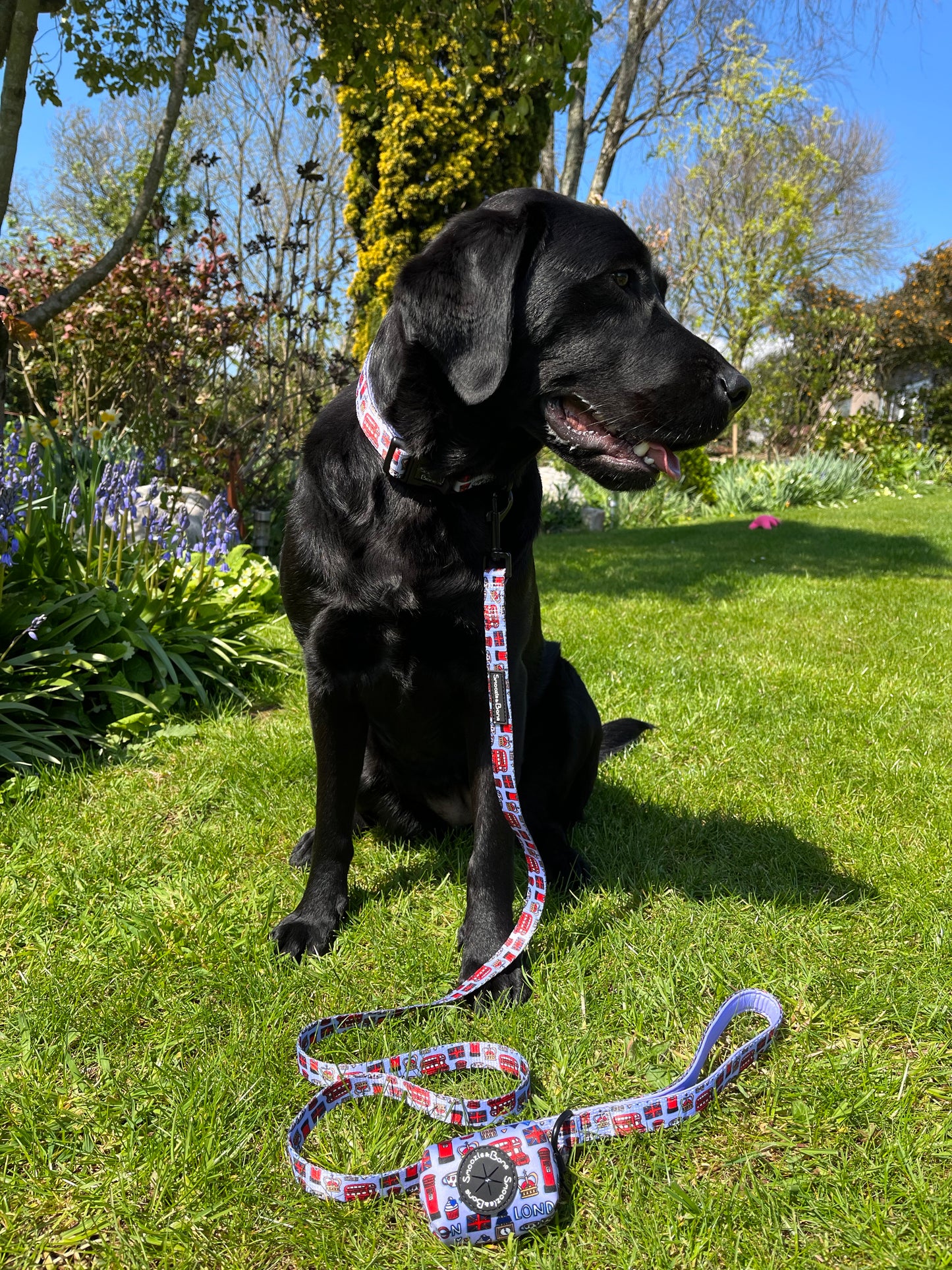 Woofs Of London Lead