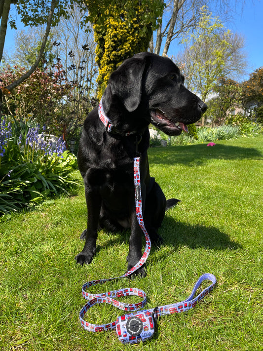 Woofs Of London Lead
