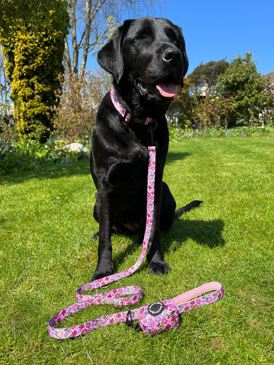 Pretty As A Petal Lead