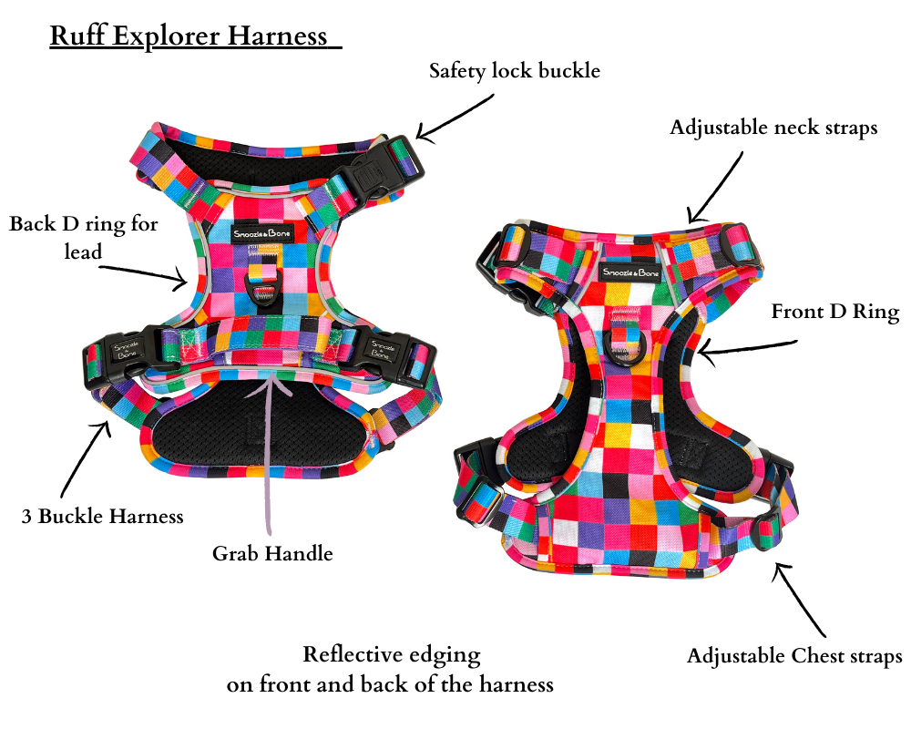 Ruff Explorer Harness