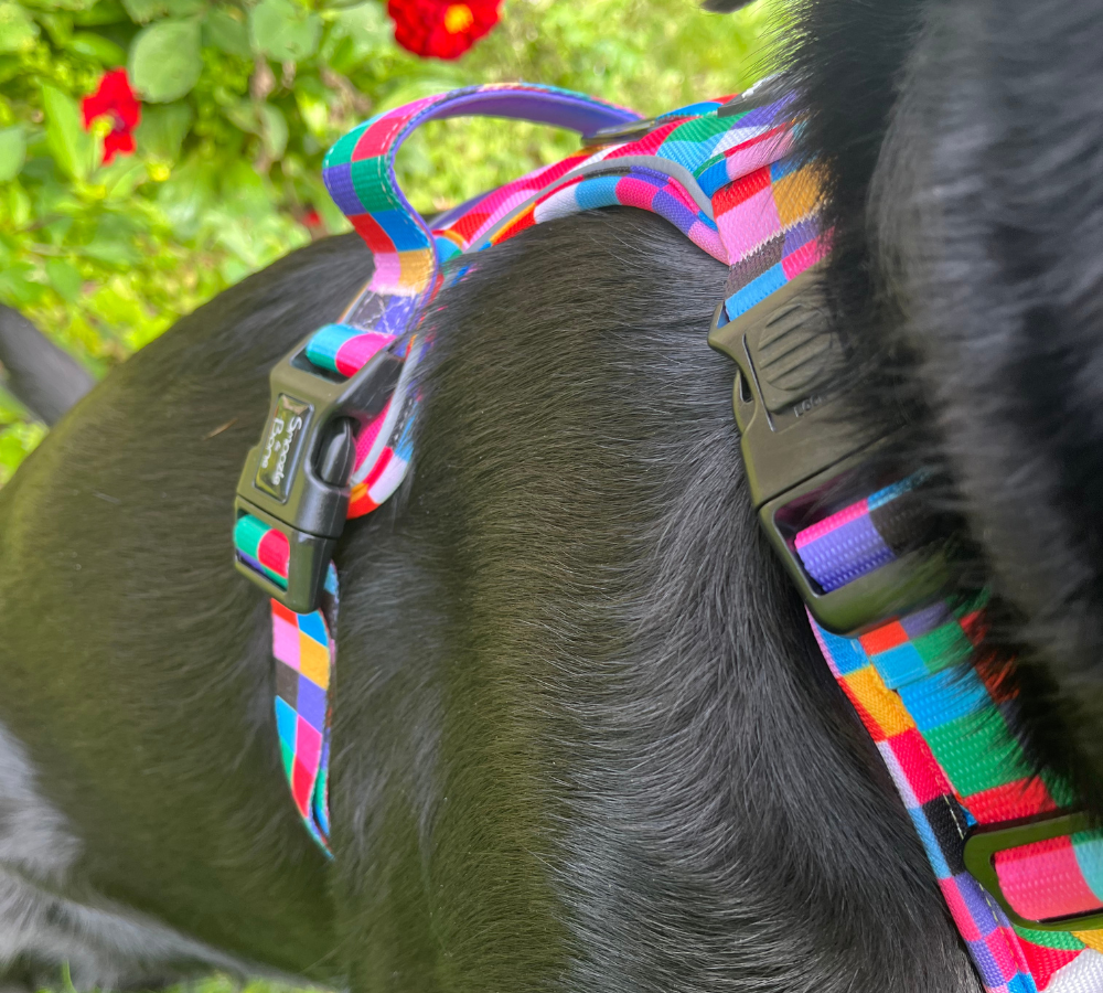 Ruff Explorer Harness