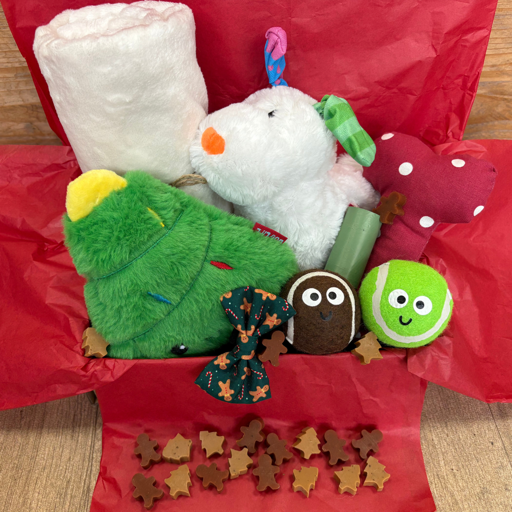 Luxury Christmas Box