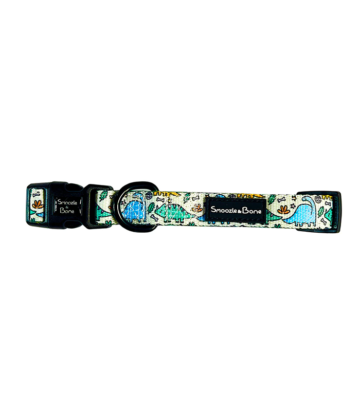 Dinkypawrus Collar