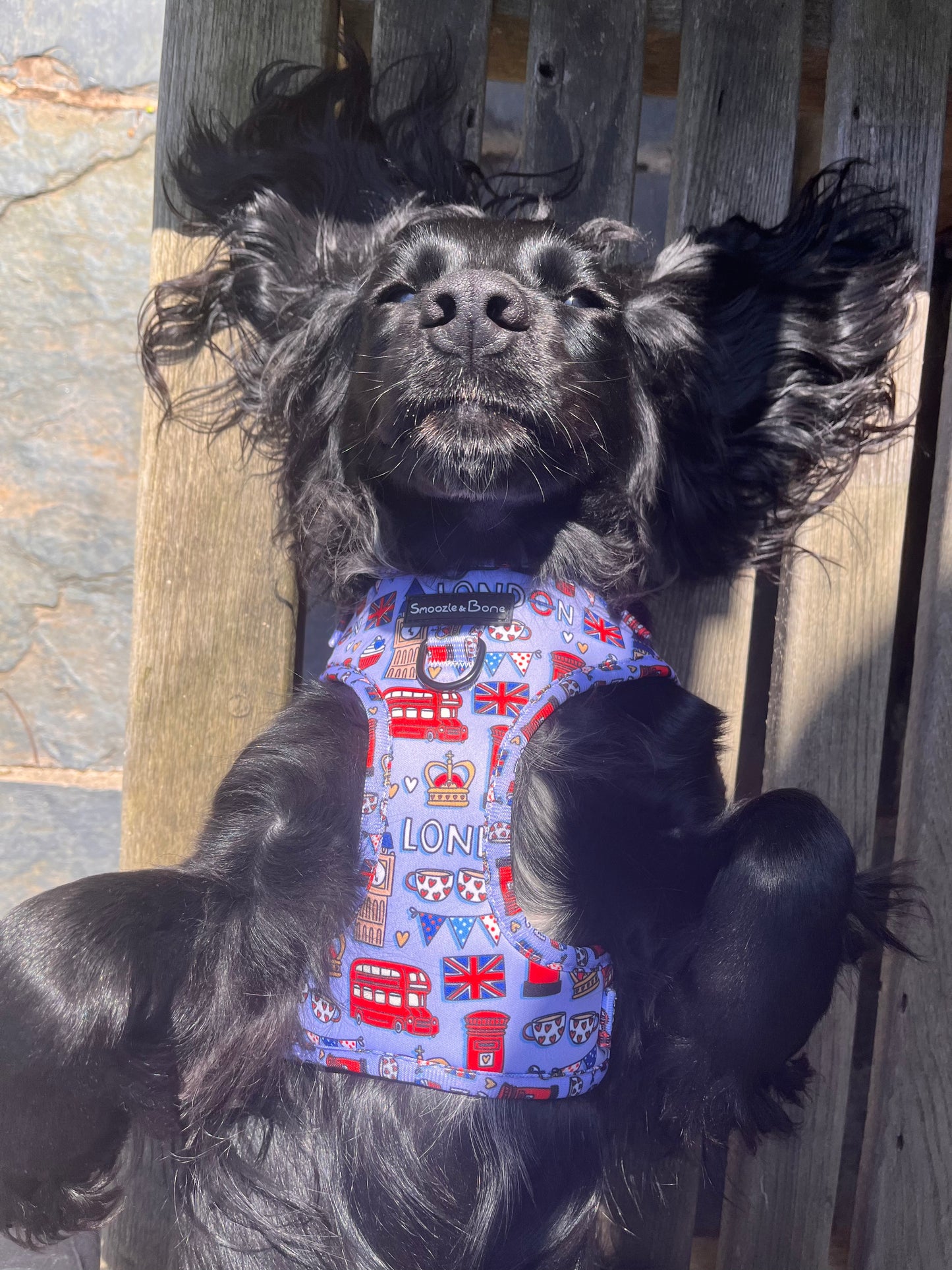 Woofs Of London Adjustable Harness