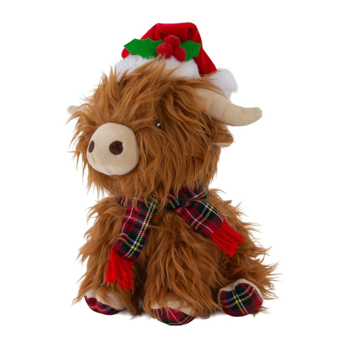 Fergus Highland Cow