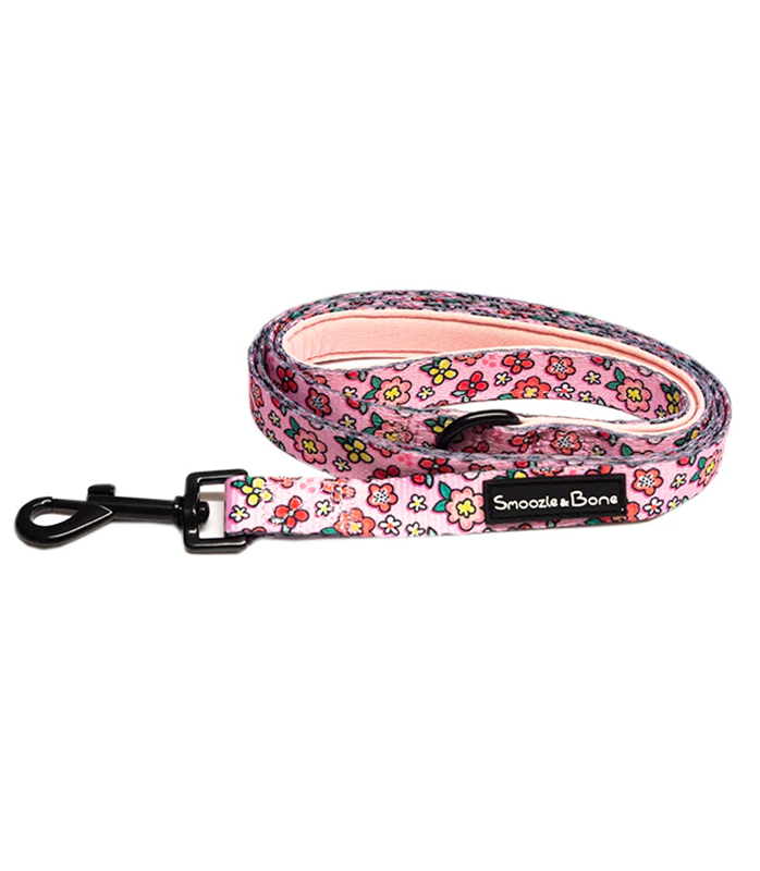 Pretty As A Petal Lead