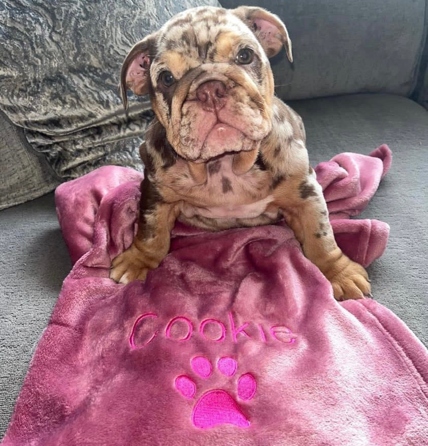 Luxury Hand-Made Personalised Fleece Blankets