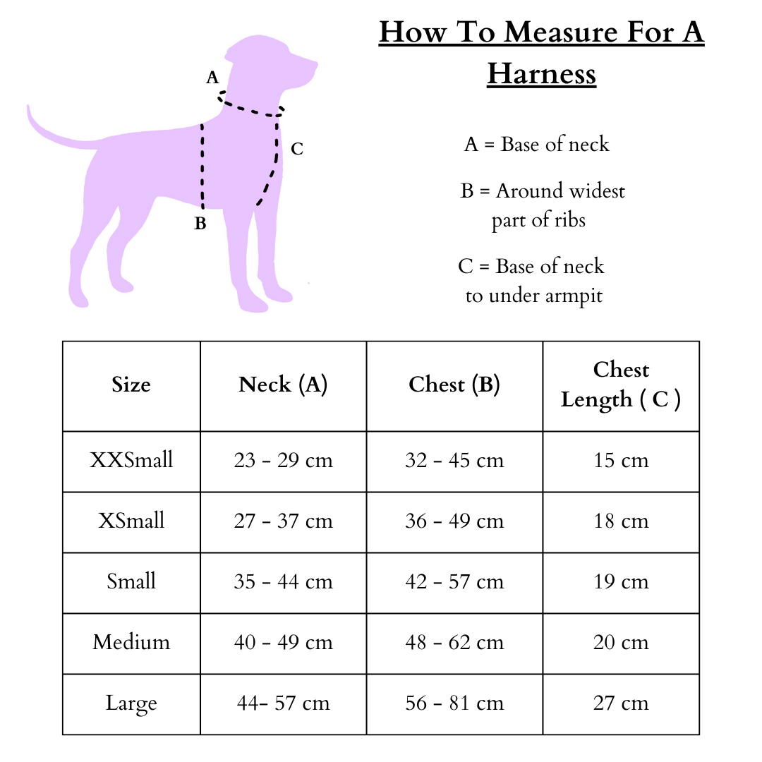 Dinkypawrus Adjustable Harness