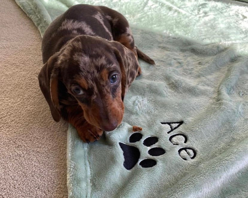 Luxury Hand-Made Personalised Fleece Blankets