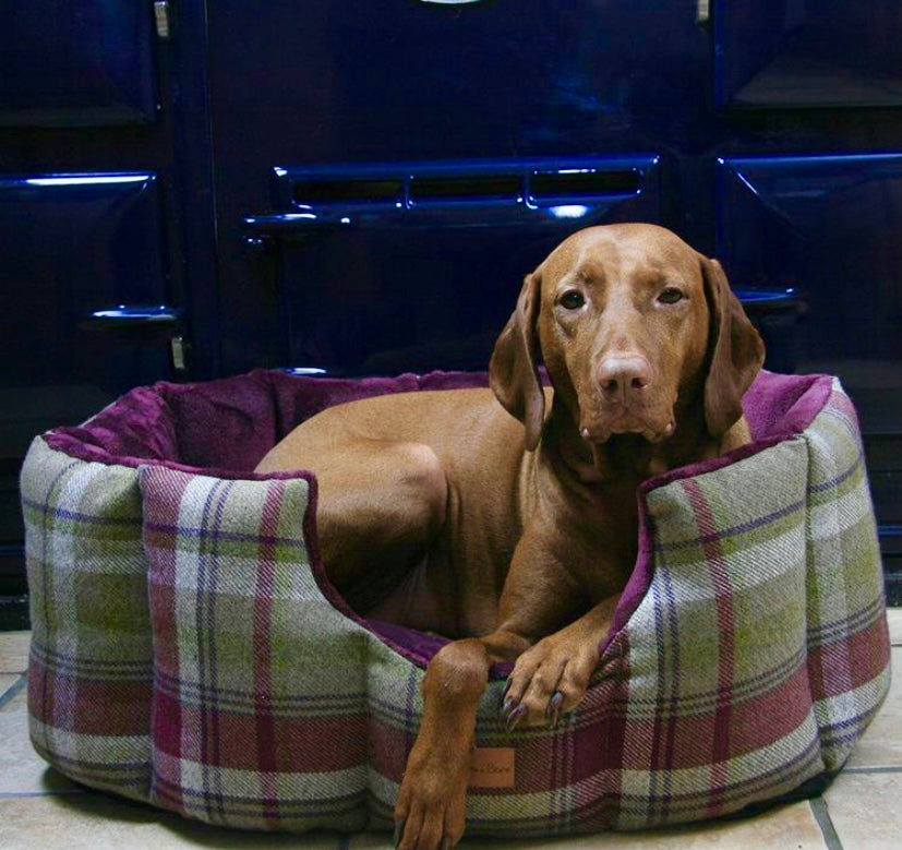 Heather Tweed Cave Dog Bed