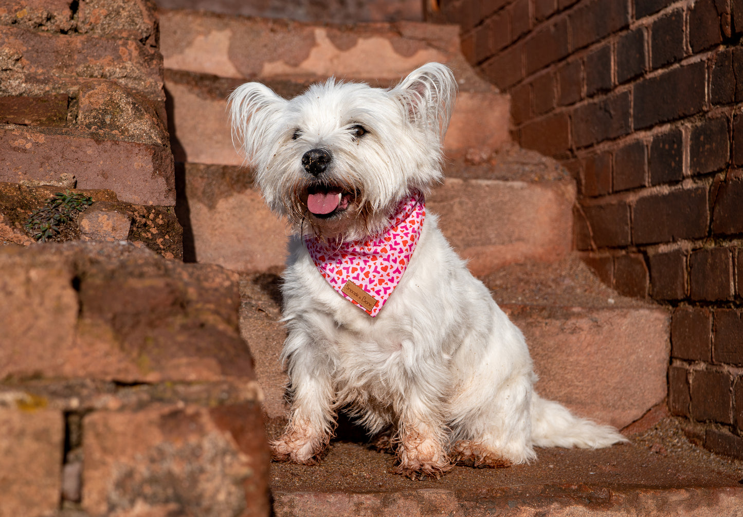 Endless Love Bandana