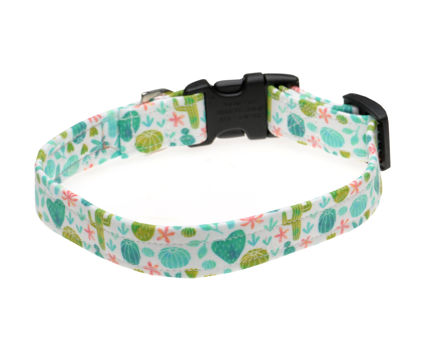 Cactus Collar