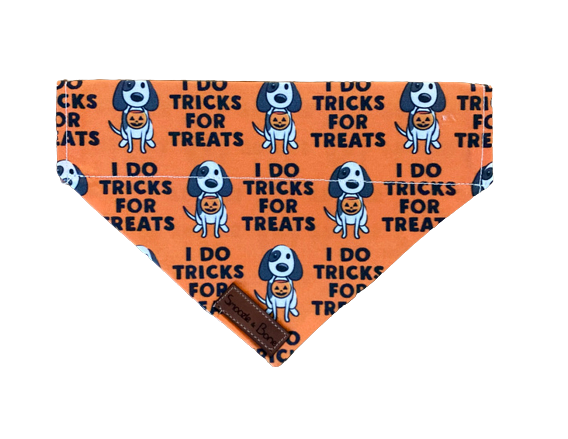 Tricks For Treats Bandana