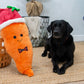 Karl Giant Carrot