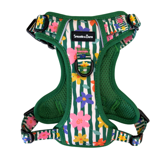 Floral Fields Ruff Explorer Harness