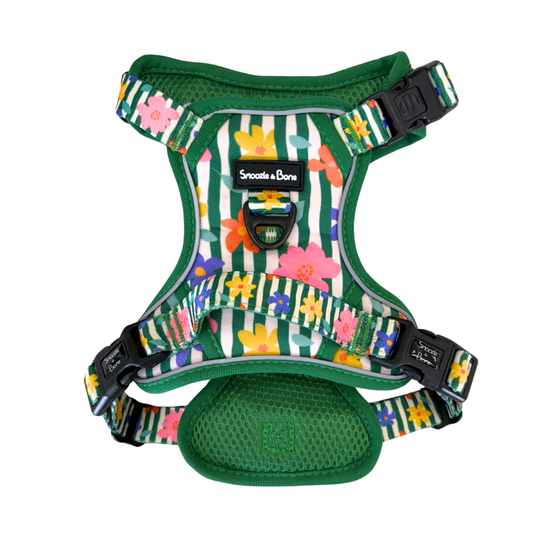 Floral Fields Ruff Explorer Harness