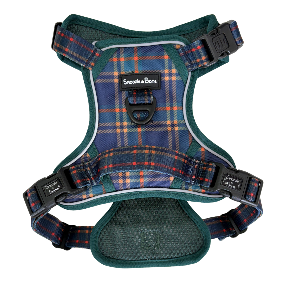 Highland Ember Ruff Explorer Harness