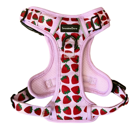 Strawberry Kisses Ruff Explorer Harness