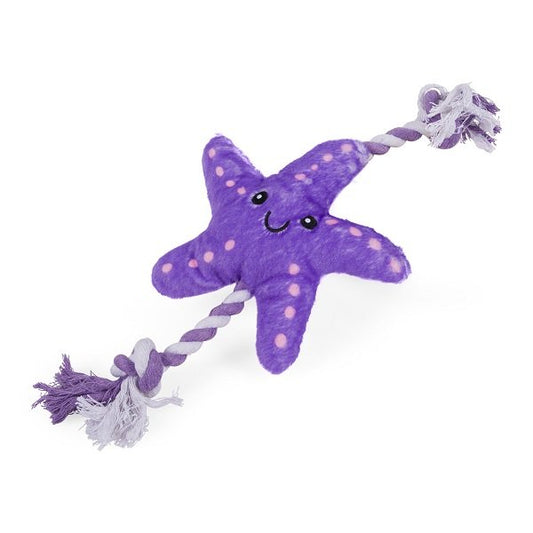 Samatha Starfish