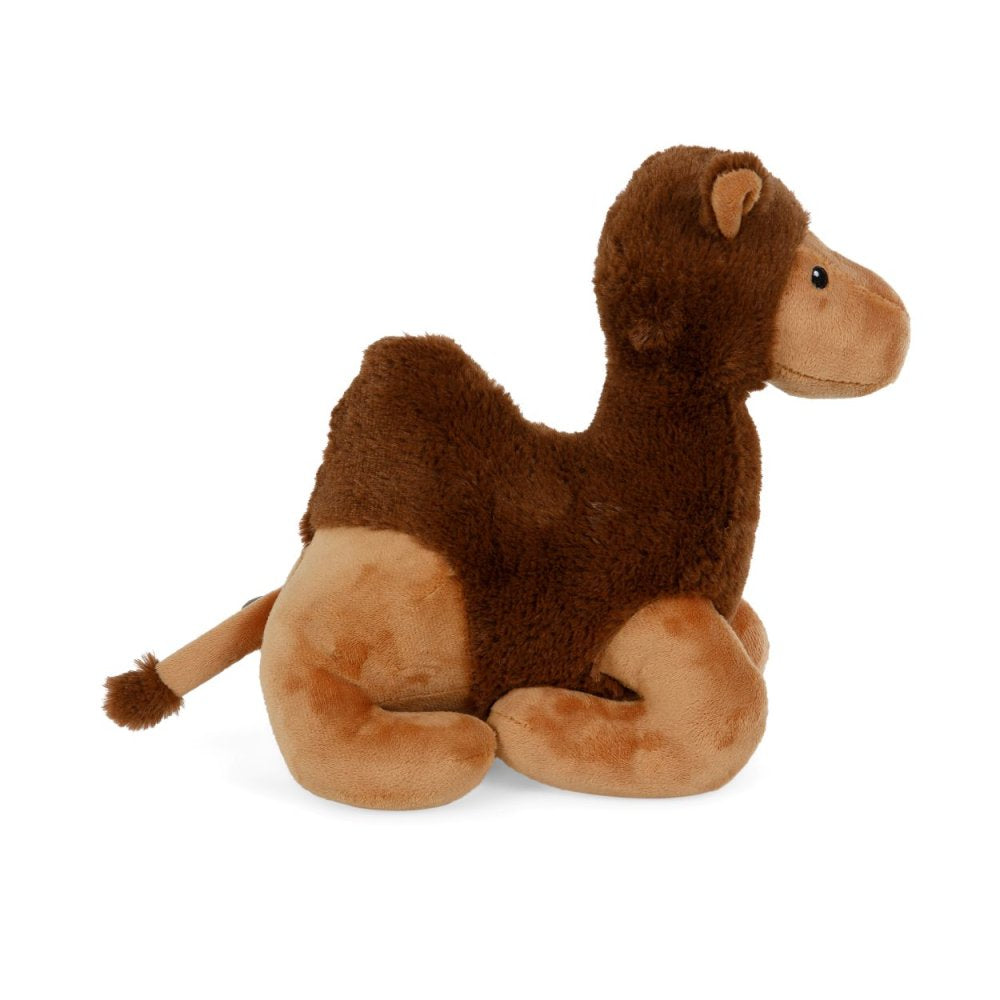 Carmel Camel