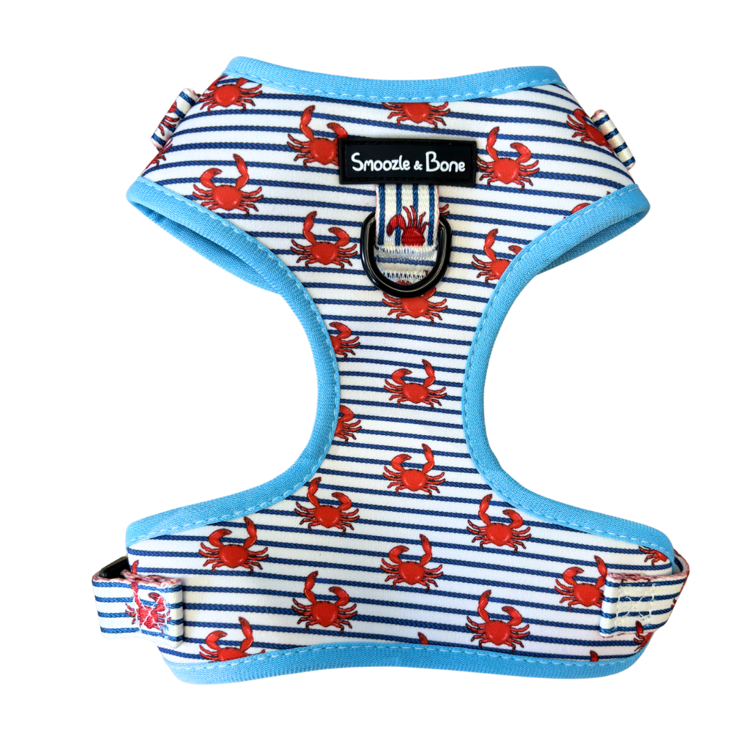 Salcombe Crab Adjustable Harness