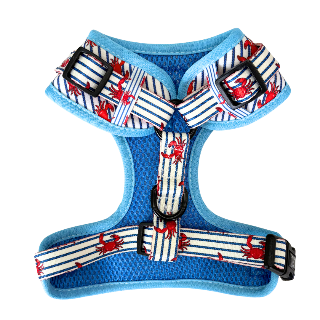 Salcombe Crab Adjustable Harness