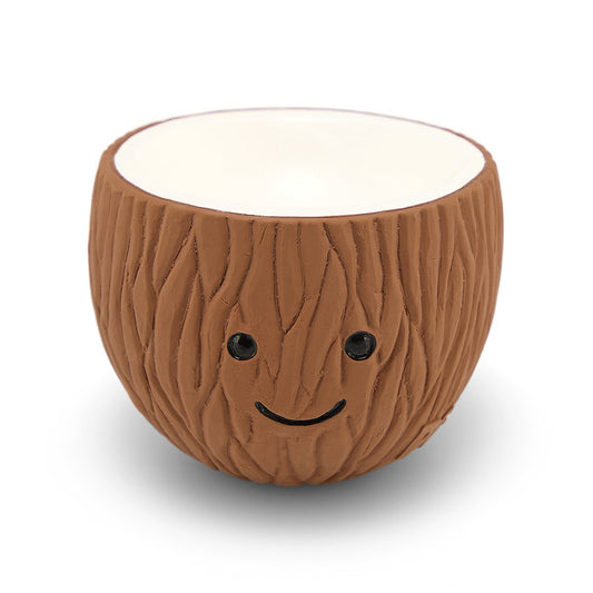 Coco Coconut