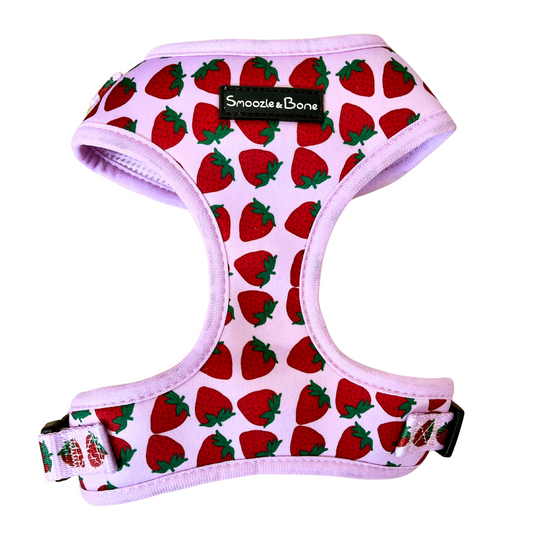 Strawberry Kisses Adjustable Harness