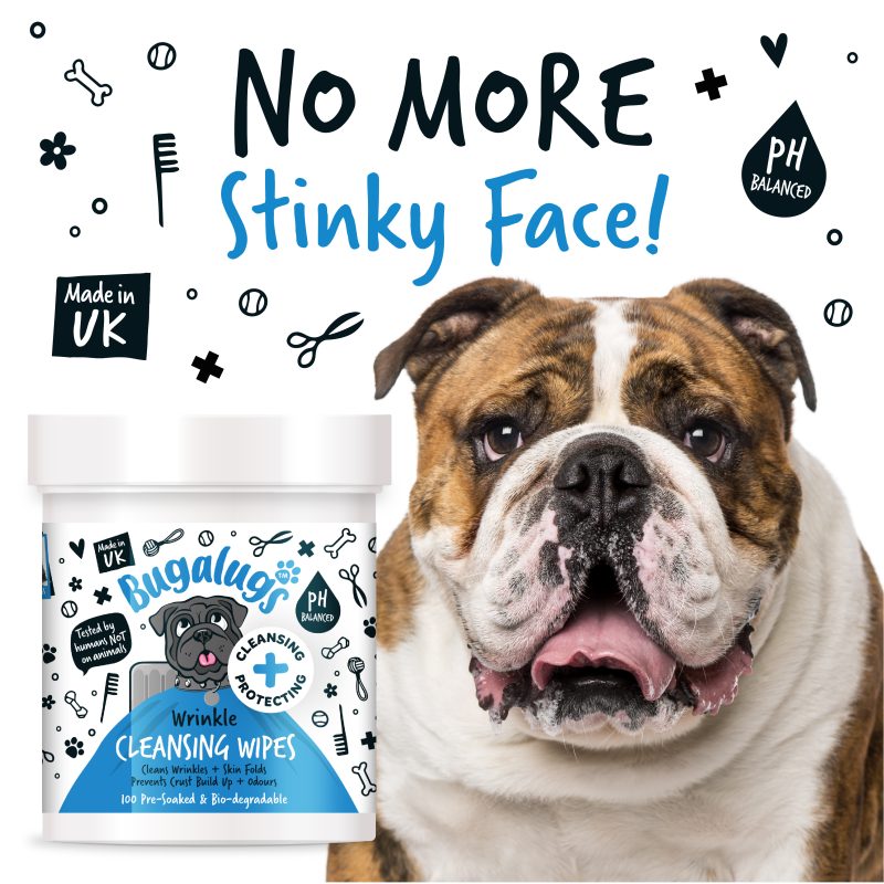 Dog 2024 wrinkle wipes