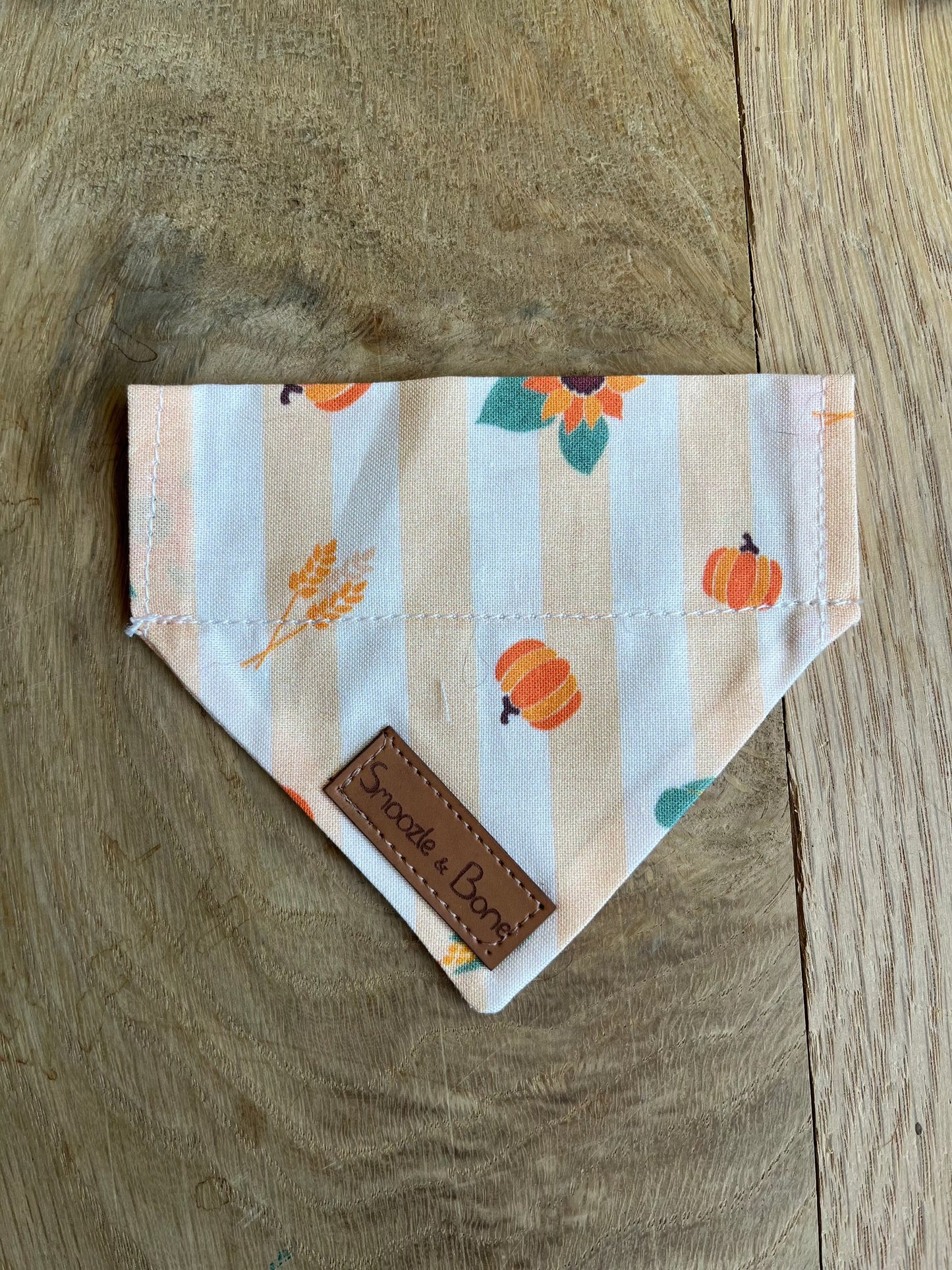 Small Pumpkin Patch Bandana