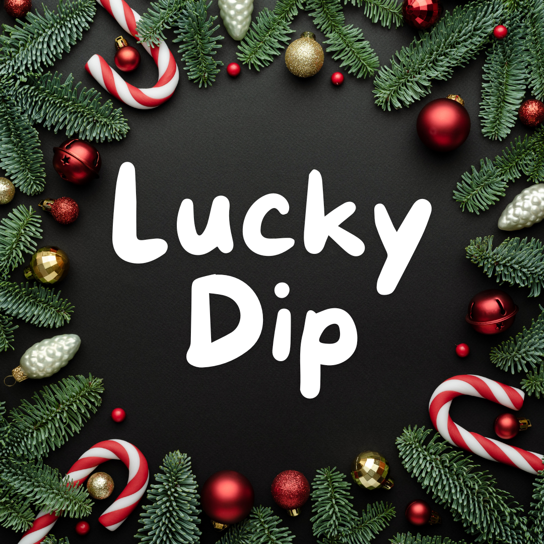 Christmas Toy Lucky Dip