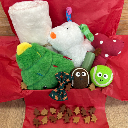 Luxury Christmas Box