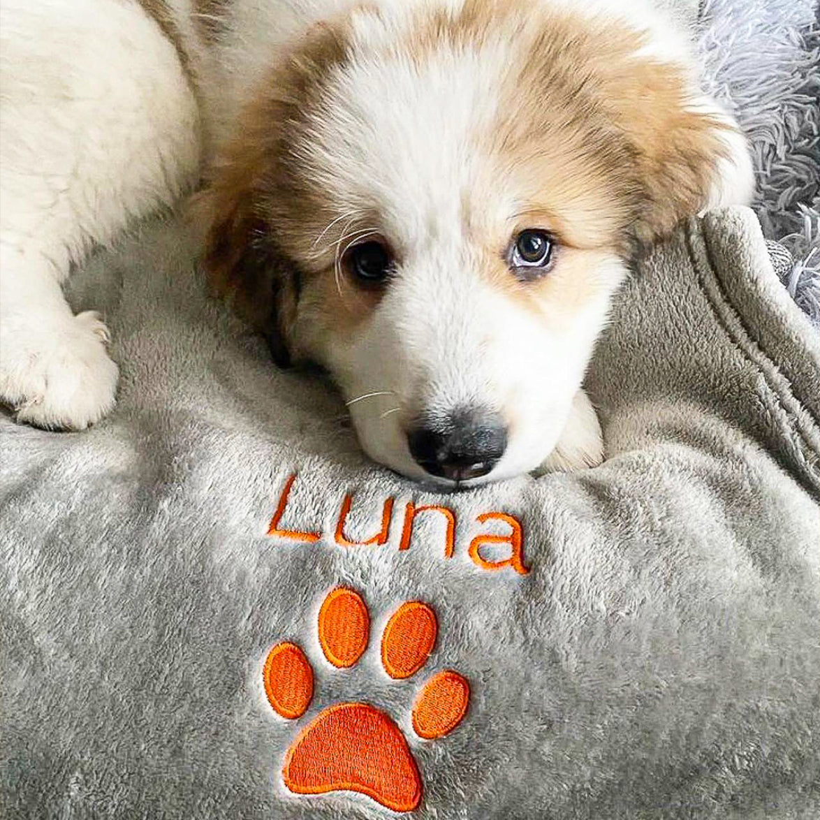 Personalised store puppy blanket