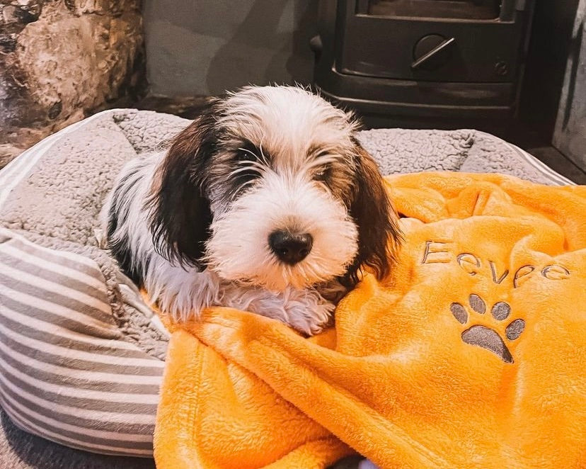 Personalised Dog Face Monogrammed Pet Blankets Custom Pet Blanket